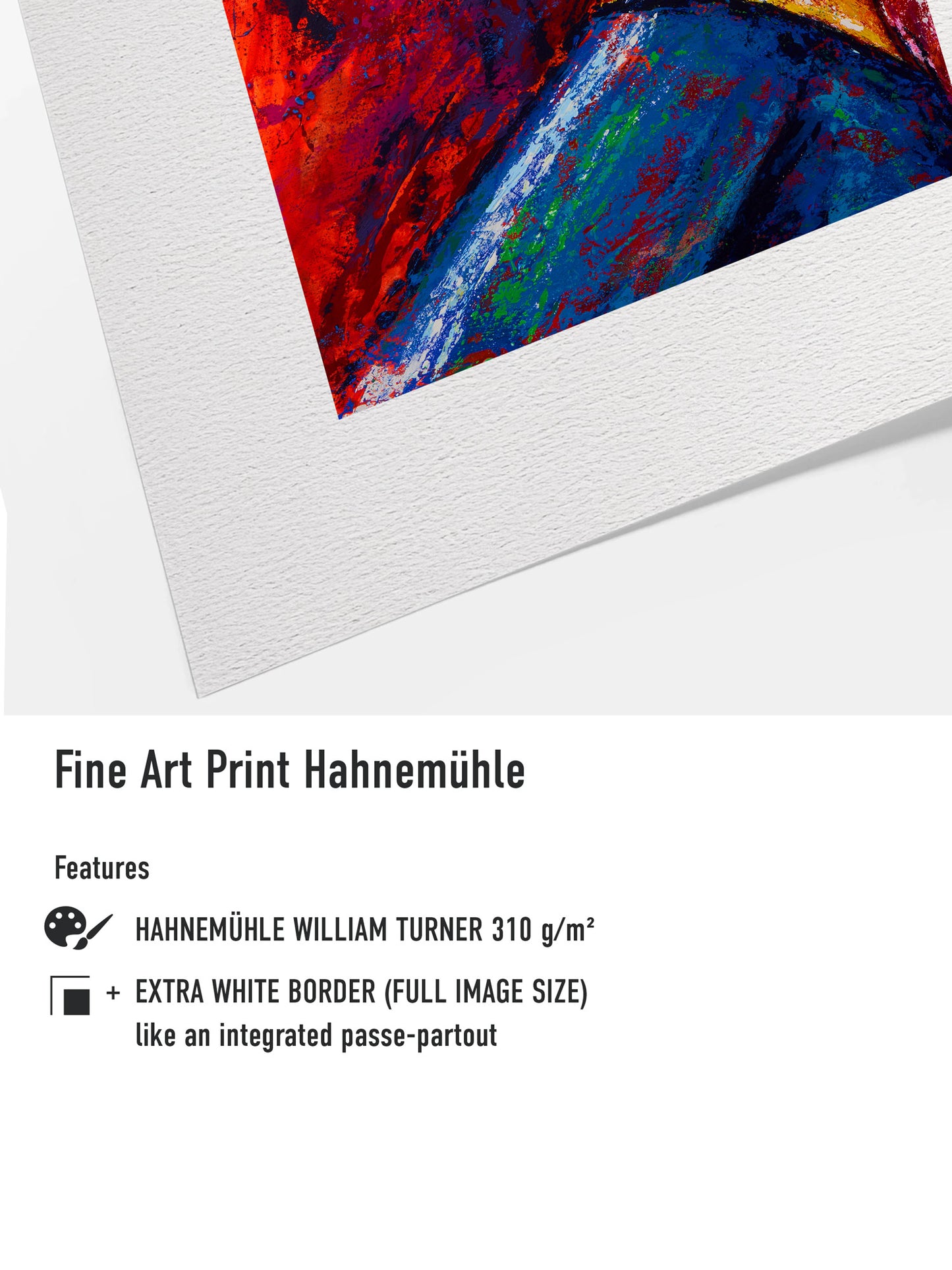 Donald Duck - Fine Art Print Hahnemühle